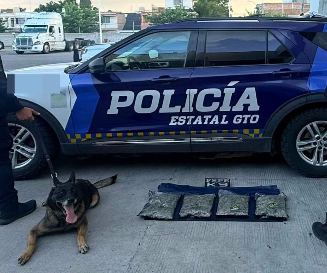 La mercancía quedó asegurada.